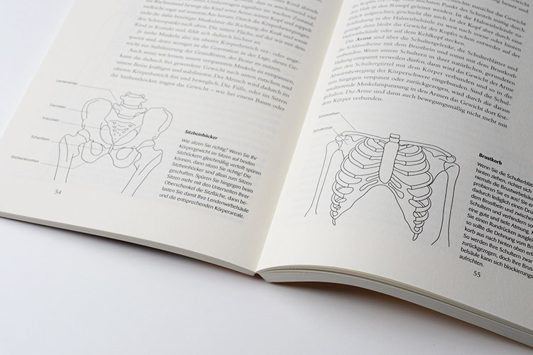 Anatomische Zeichnungen, Brustkorb und Hüfte