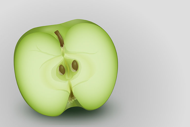 Apfel Vektorgrafik