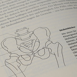 Anatomische Zeichnungen, Brustkorb und Hüfte